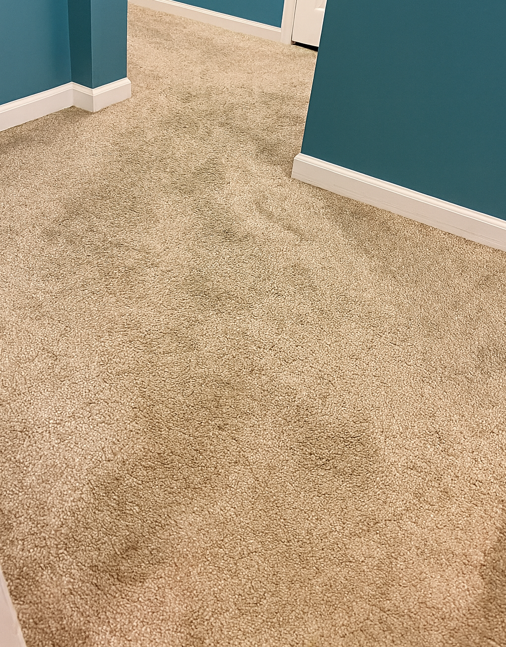 Bedroom with old carpet before Morales Flooring nc installation